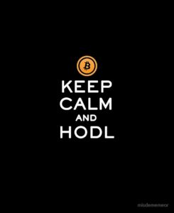 Bitcoin hodl