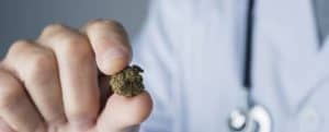 schmerzmittel cannabis