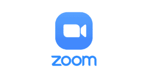 Zoom Icon