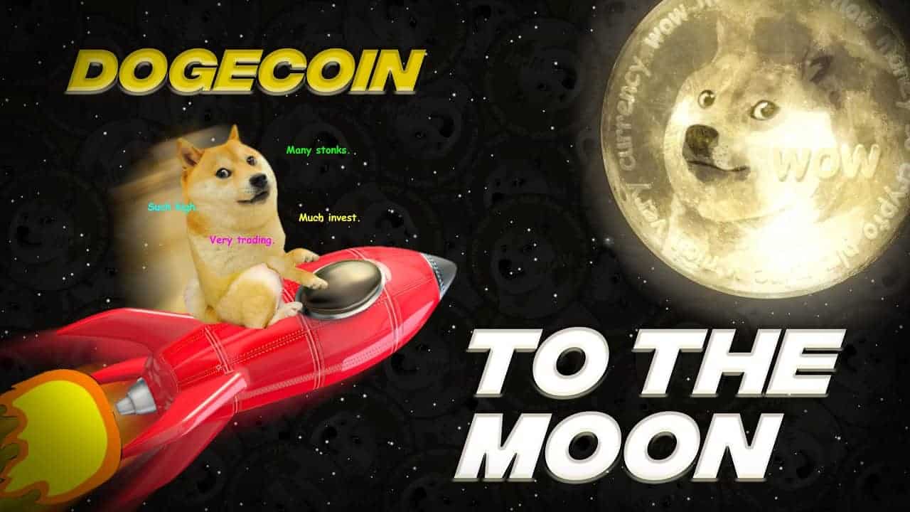 dogecoin to the moon