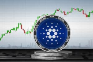 cardano Prognose