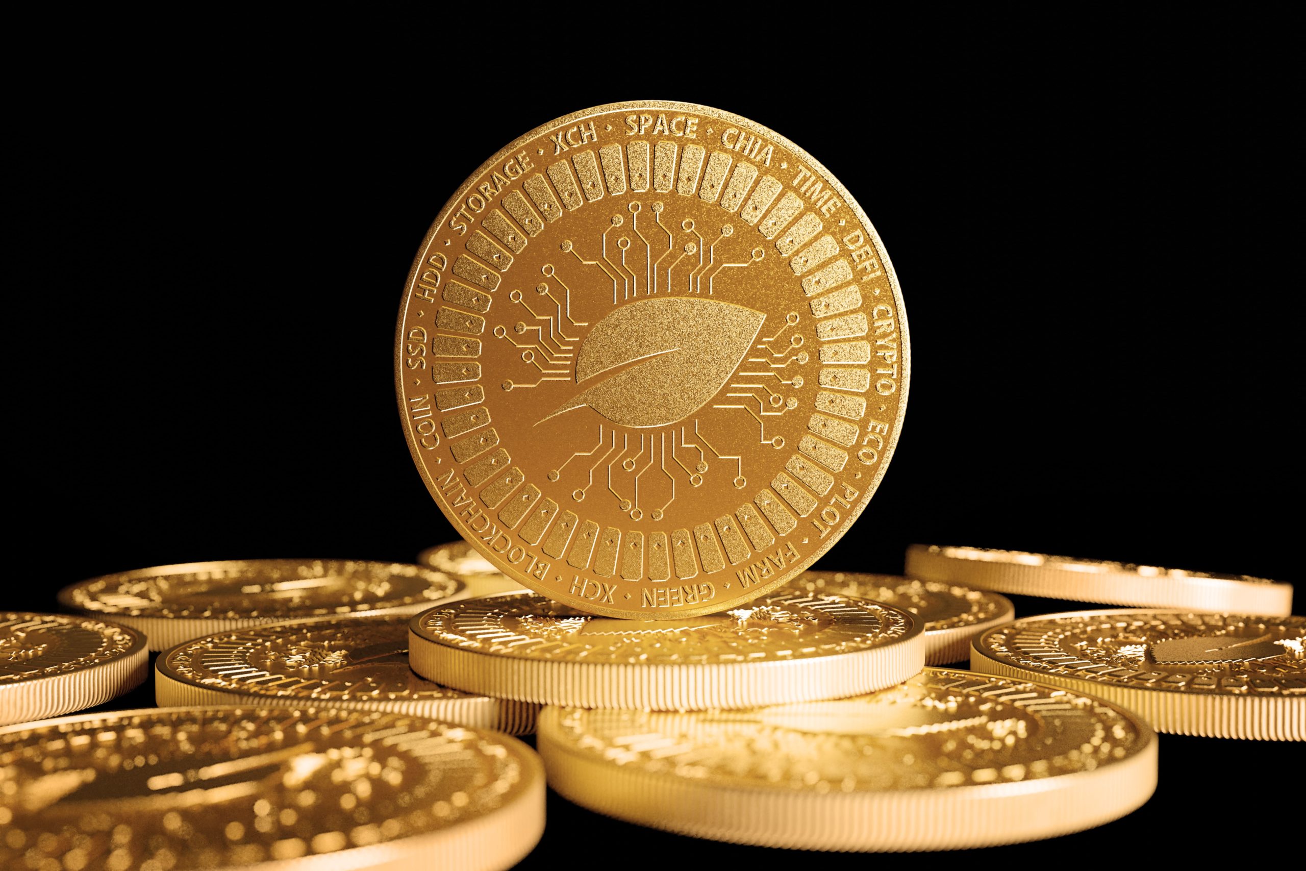 Chia Coin