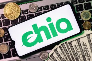 Chia Coin kaufen