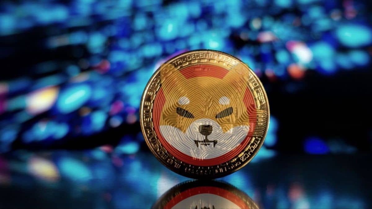 shiba inu coin